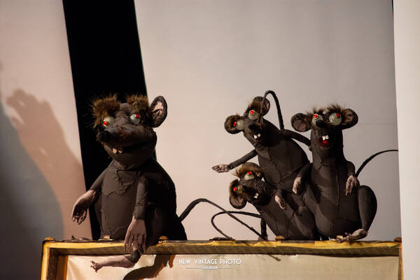 Estória de uma Gaivota e do Gato que a Ensinou a Voar
Estória de uma Gaivota e do Gato que a Ensinou a Voar