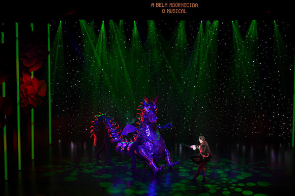 A Bela Adormecida- O Musical Para Toda a Família
