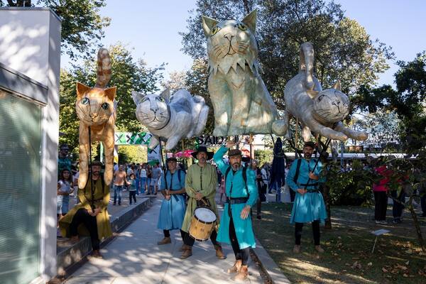 Os Gatos Vagueiam Pelos Poemas...
Os Gatos Vagueiam Pelos Poemas...