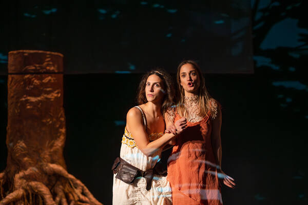 Das Árvores - Ciclo Meridional Português
Das Árvores - Ciclo Meridional Português